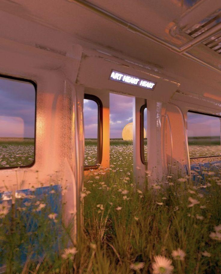 Inside a dream train looking out over fields at sunset.